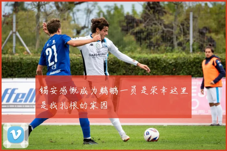 锡安感慨成为鹈鹕一员是荣幸这里是我扎根的家园