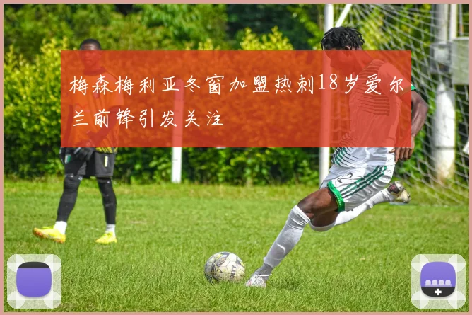 梅森梅利亚冬窗加盟热刺18岁爱尔兰前锋引发关注